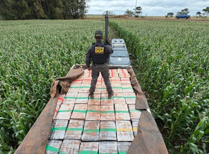 Motorista foge por milharal e abandona caminhão com 6t de maconha em Dourados