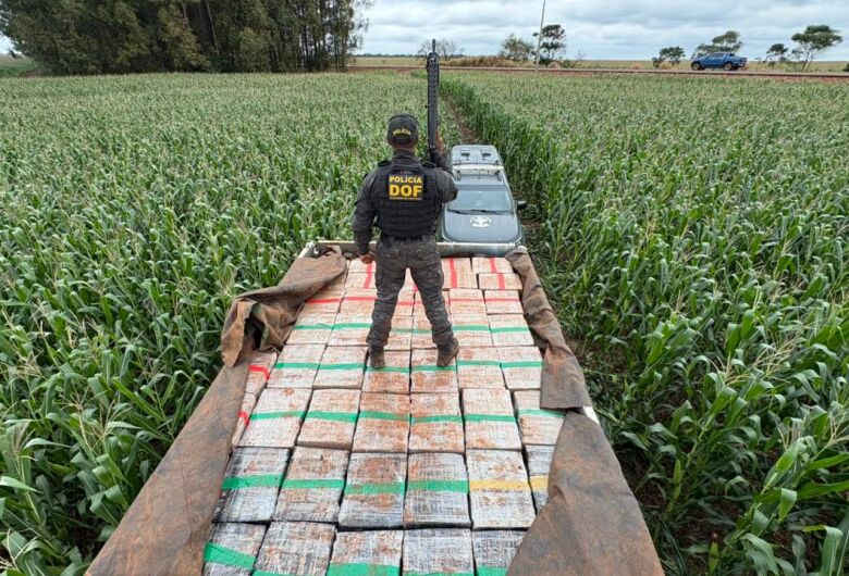 Motorista foge por milharal e abandona caminhão com 6t de maconha em Dourados