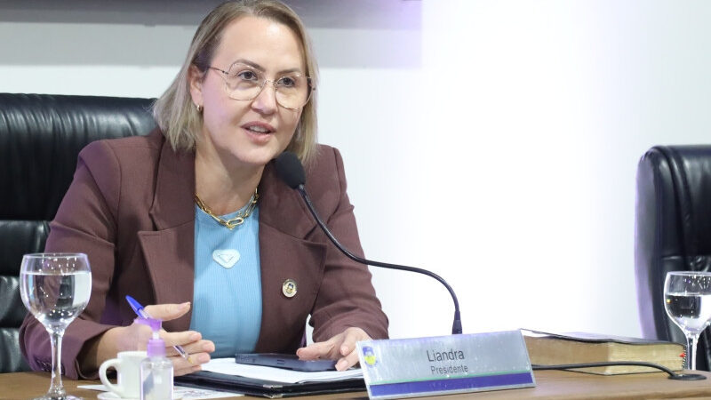 Liandra solicita retomada da Casa-Abrigo para mulheres vítimas de violência em Dourados