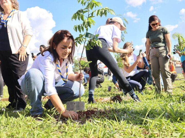 PF vê concentração de recursos na véspera do 1º e 2º turno e pode desvendar “virada” de Adriane