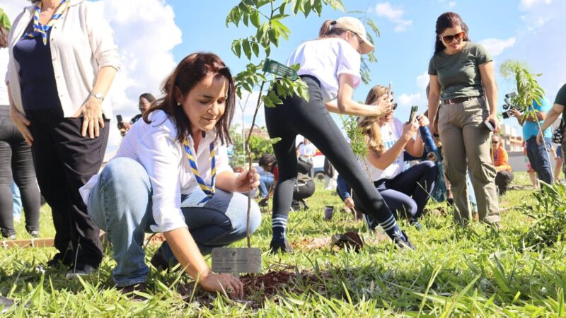 PF vê concentração de recursos na véspera do 1º e 2º turno e pode desvendar “virada” de Adriane