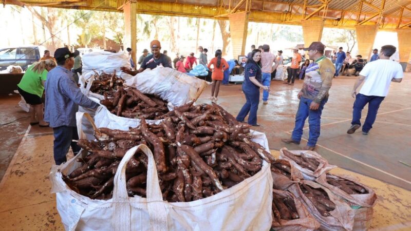Dourados recebe R$ 500 mil do MDS e cria 1º PAA Municipal Indígena do Brasil