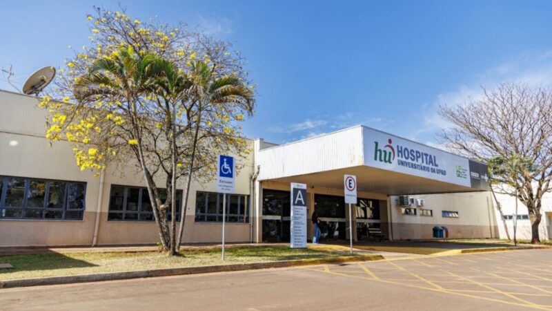 Epidemia desacelera e número de internados com Chikungunya atinge menor volume