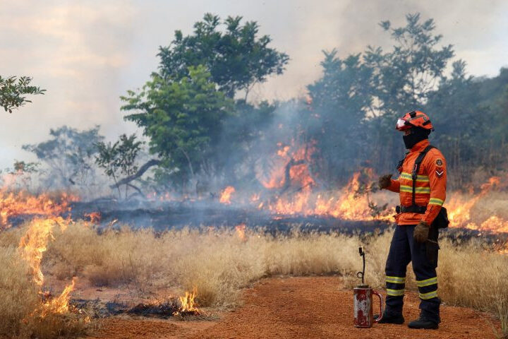 Bombeiros de MS se preparam para temporada de incêndios florestais