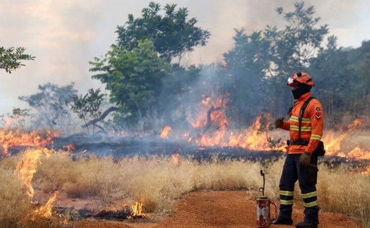 Bombeiros de MS se preparam para temporada de incêndios florestais