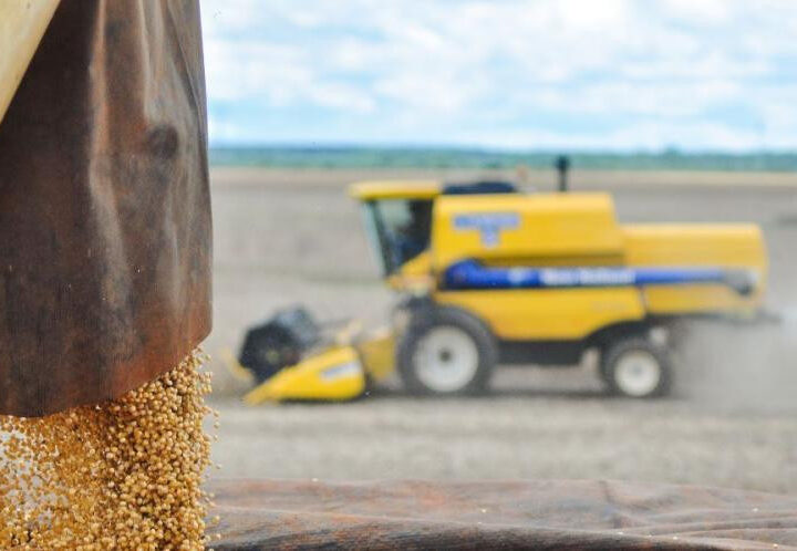 Estado amplia protagonismo no agro brasileiro em ano de recordes para o setor