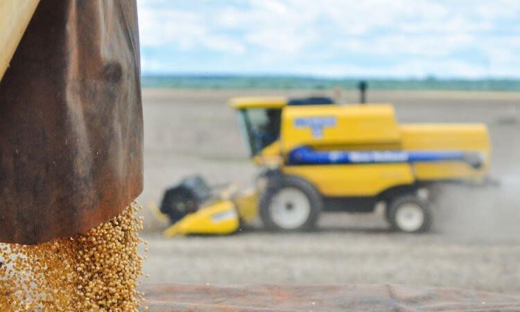 Estado amplia protagonismo no agro brasileiro em ano de recordes para o setor