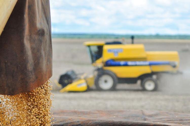 Estado amplia protagonismo no agro brasileiro em ano de recordes para o setor