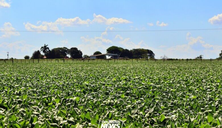 Com salários de até R$ 4 mil, IBGE abre quase 300 vagas temporárias em MS para Censo Agropecuário