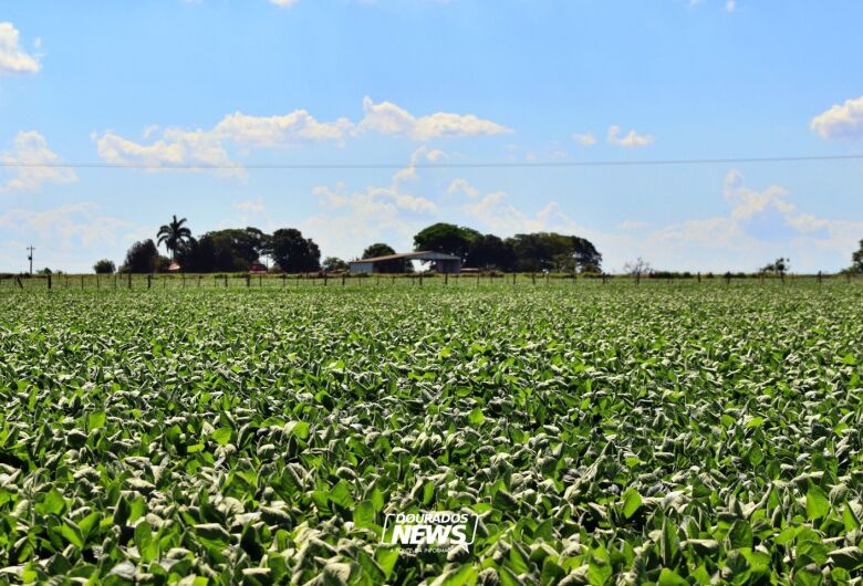 Com salários de até R$ 4 mil, IBGE abre quase 300 vagas temporárias em MS para Censo Agropecuário