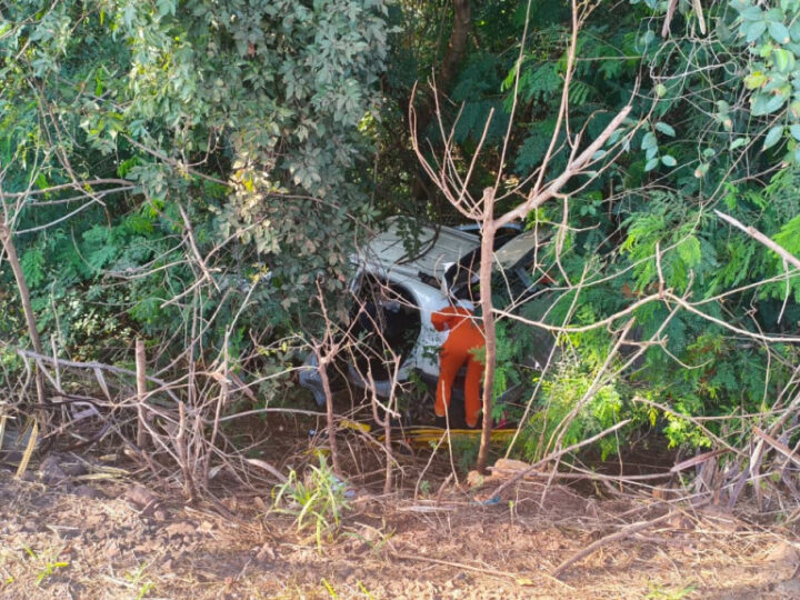 Motorista fica inconsciente após carro sair da pista, cair em buraco e bater em árvore