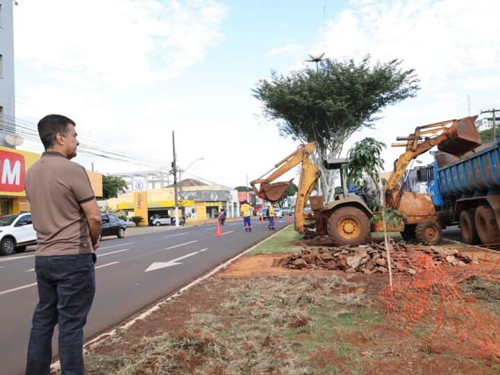 Prefeitura inicia revitalização de canteiros centrais em quatro pontos da cidade
