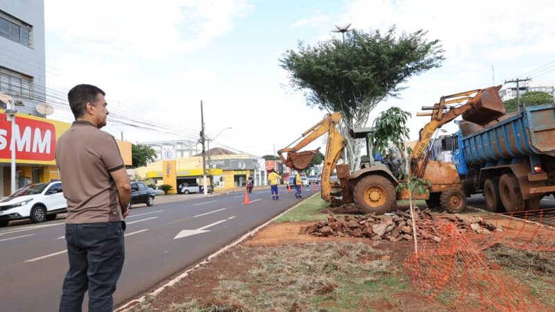 Prefeitura inicia revitalização de canteiros centrais em quatro pontos da cidade