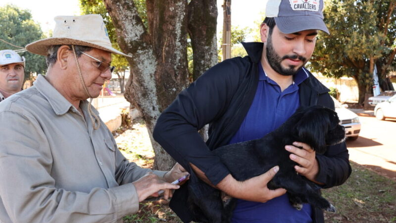 Prefeitura inicia vacinação antirrábica de animais sob cuidados de protetores em Dourados
