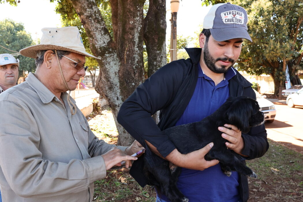 Prefeitura inicia vacinação antirrábica de animais sob cuidados de protetores em Dourados