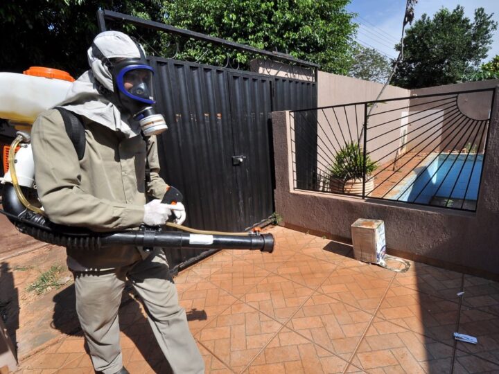 Chikungunya segue em desaceleração em Dourados e notificações despencam