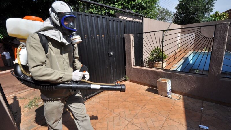Chikungunya segue em desaceleração em Dourados e notificações despencam