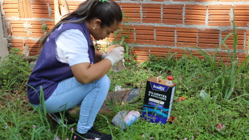 Dourados supera 10 mil notificações por Chikungunya e tem 4.802 casos confirmados