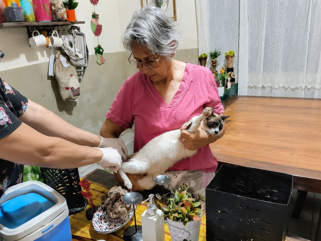 Prefeitura já vacinou quase 700 animais acolhidos por protetores e ação segue em julho