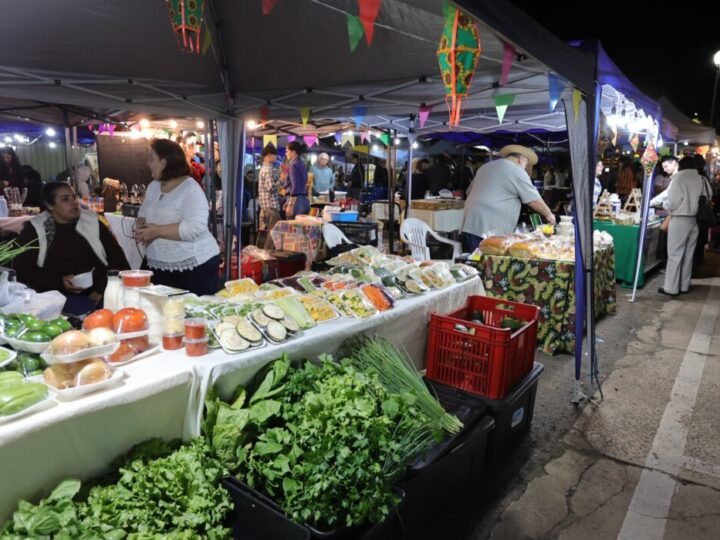 Feira dos Ipês é pet friendly e reúne música, sabores e mais de 60 expositores nesta terça-feira