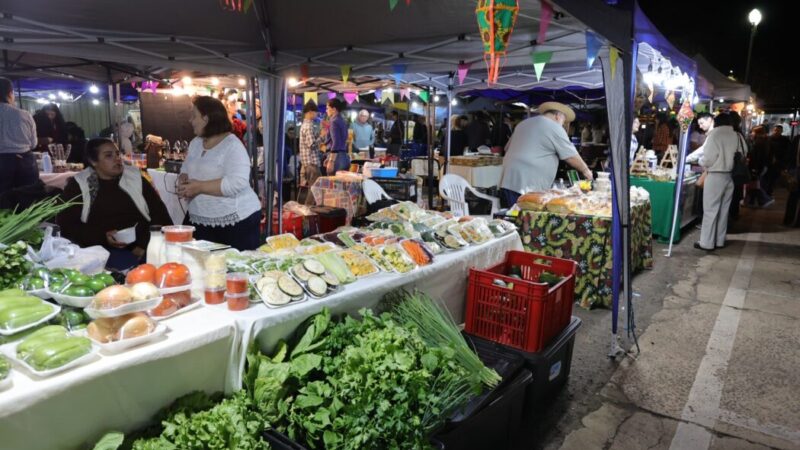 Feira dos Ipês é pet friendly e reúne música, sabores e mais de 60 expositores nesta terça-feira