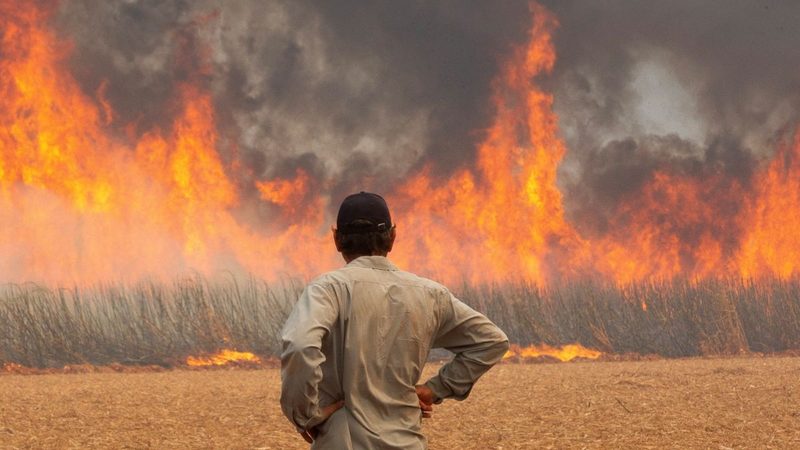 Prefeitura e universidades públicas debatem saúde e mudanças climáticas