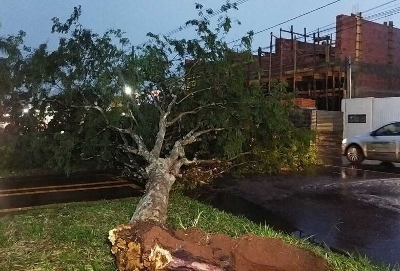 Dourados aparece na liderança entre cidades mais atingidas por tornados no Brasil nos últimos anos