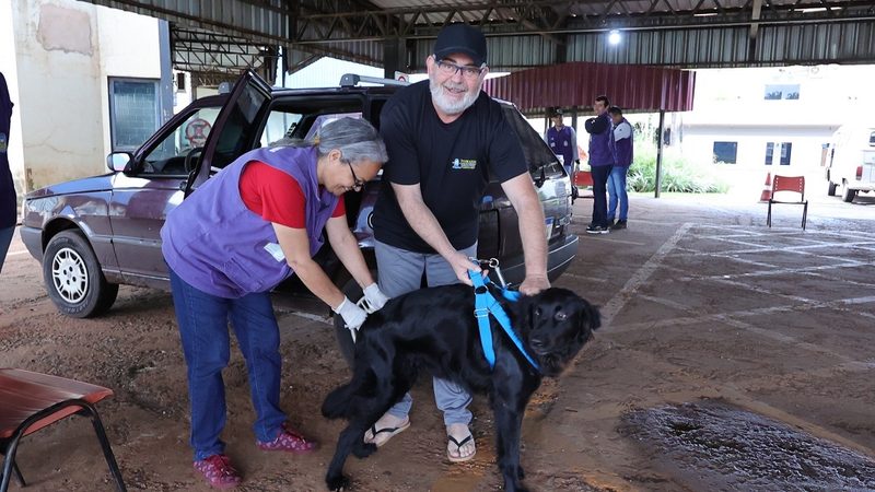 Prefeitura descentraliza vacinação antirrábica para atender diferentes regiões de Dourados