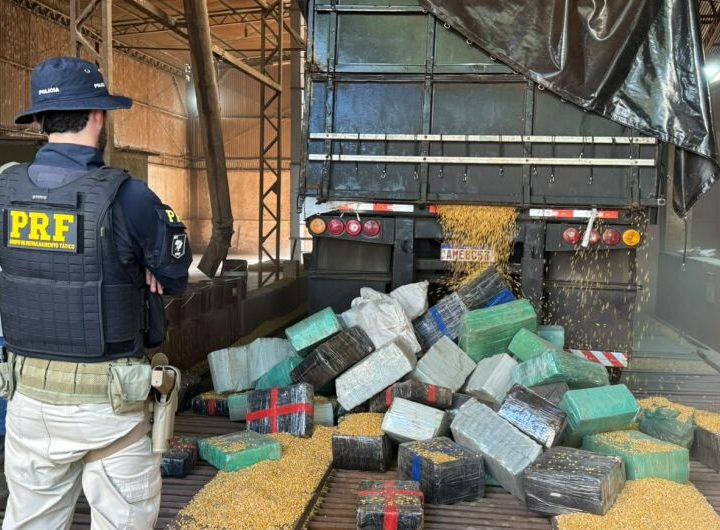 Carreta parada em rodovia chama atenção e polícia apreende mais de 5t de maconha