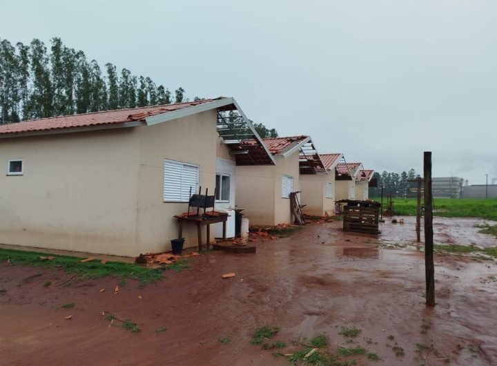 Prefeitura faz levantamento após temporal destelhar casas e derrubar árvores em Caarapó