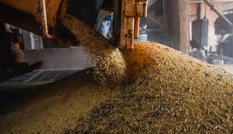 Produção brasileira de grãos deve aumentar apesar do El Niño