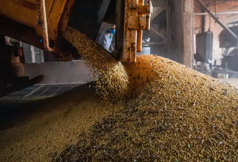 Produção brasileira de grãos deve aumentar apesar do El Niño