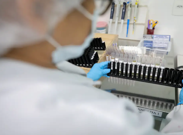 Malária: Anvisa autoriza teste em humanos de vacina 100% brasileira