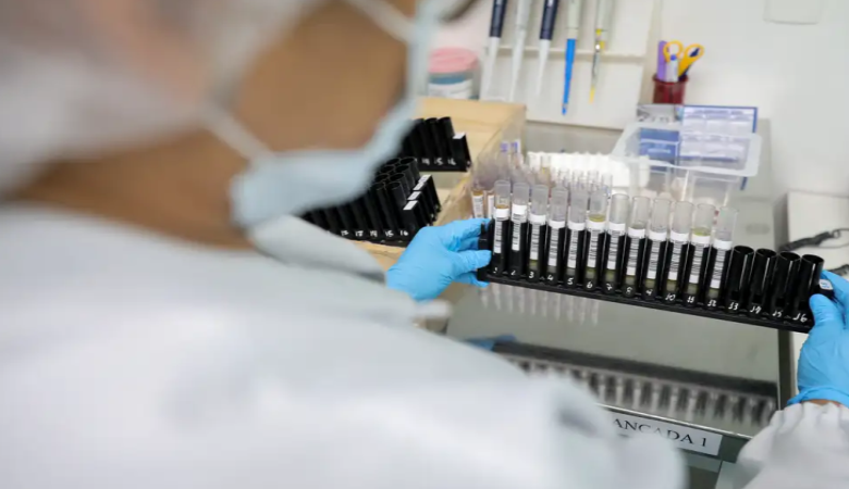 Malária: Anvisa autoriza teste em humanos de vacina 100% brasileira