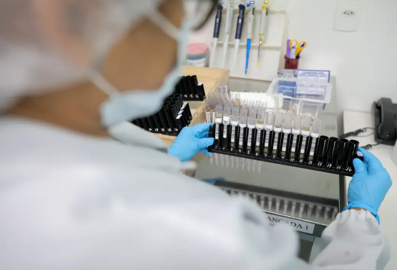 Malária: Anvisa autoriza teste em humanos de vacina 100% brasileira