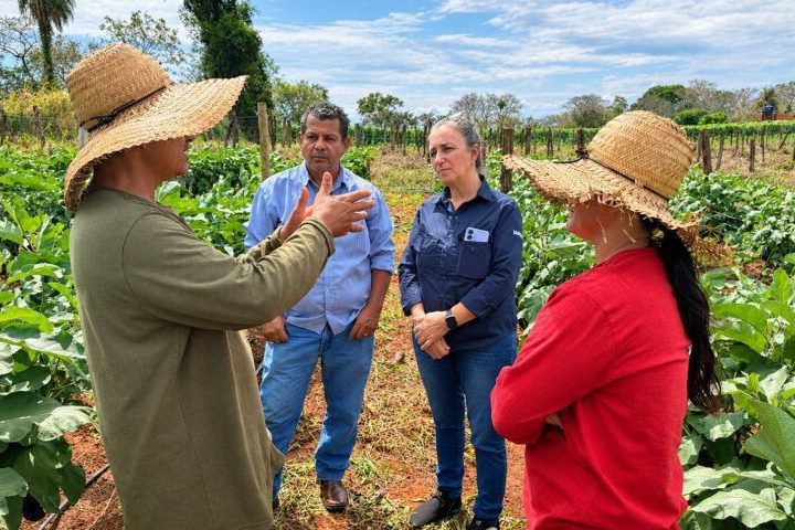 Agraer orienta agricultores a produzir mais e vender direto ao consumidor