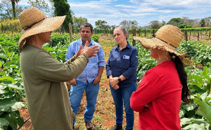 Agraer orienta agricultores a produzir mais e vender direto ao consumidor
