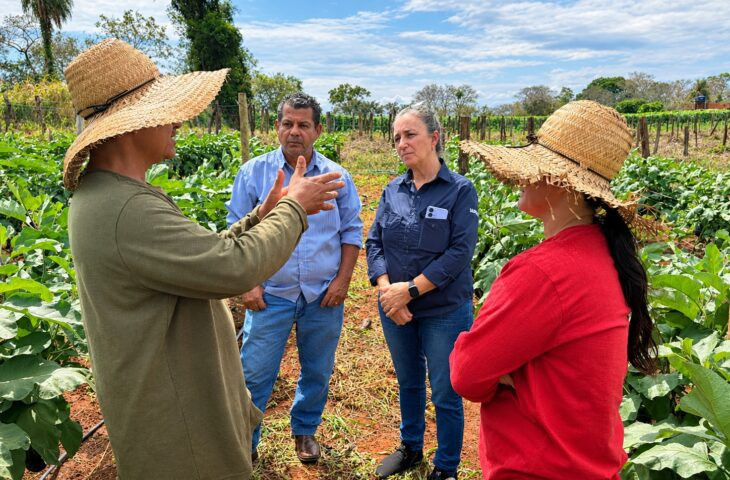 Agraer orienta agricultores a produzir mais e vender direto ao consumidor