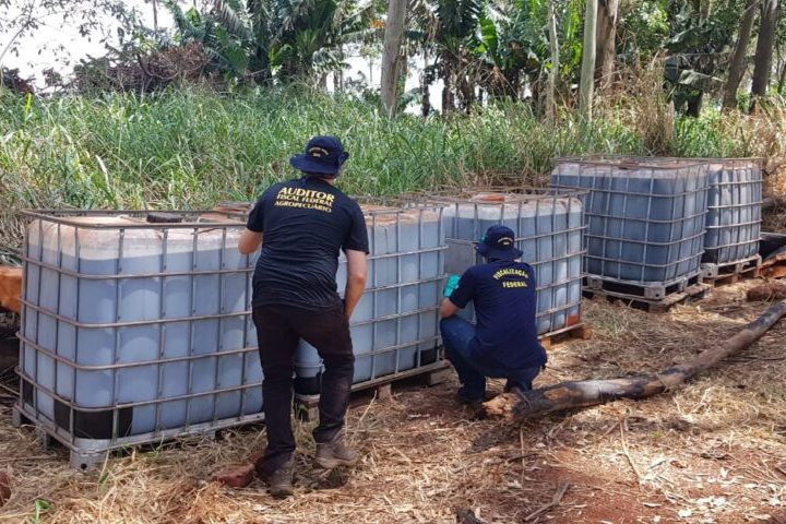 MS cria grupo de trabalho para avaliar destinação de agrotóxicos irregulares