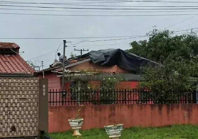 Chuva forte derruba árvores, danifica casas e compromete estradas em Amambai