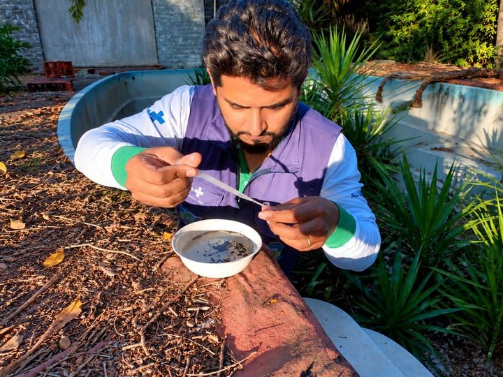 Prefeitura inicia mutirões de limpeza para combater Chikungunya, Dengue e Zika Vírus